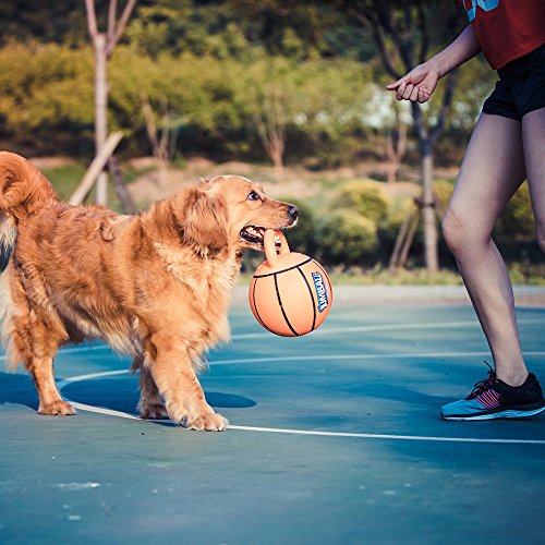 Gigwi JUMBALL Dog Tug and Dog Ball Toss Interactive Toy Dog Basketball Ball with Handle Dog Toy Diameter 8 Inches, Excercise Ball for Large Dogs But not Aggressive Chewers - Thumbnail 6