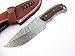 Poshland BC-33, Custom Handmade Full Tang Damascus Steel Skinner Knife - Brown Jute Micarta Handle