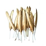 Ling's moment 50 Pcs 4-6 Inch All Gold Dipped Feather Garland Banner For Bohemian In Bulk For Craft Sparkle Party Home Wedding Baby Bridal Shower Wedding Party Table Birthday Feather Decoration