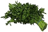 Organic Italian Parsley, 1 Bunch