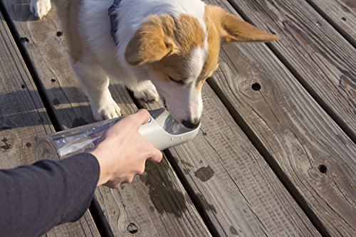 image for PETKIT Eversweet Travel 'One Touch' Filtered Carbonated Handheld Pet D