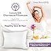 Mulberry Park 100% Silk Pillowcase - 19 Momme, Grade 6A Mulberry Silk - Deep Envelope Closure - White/Queen (20'' x 30'')