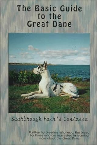 Programming Pdf Ebooks Downloading Sites Page 3 - 