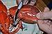 Aozita Seafood Tools Nut Cracker Set Includes 4 Cracker and 4 Forks - Lobster/Crab Cracker - Lobster Picks, Solid