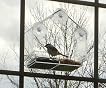 Nature Anywhere Heavy Duty Large Window Bird House Feeder With Sliding Seed Holder For Outdoor Garden Birds