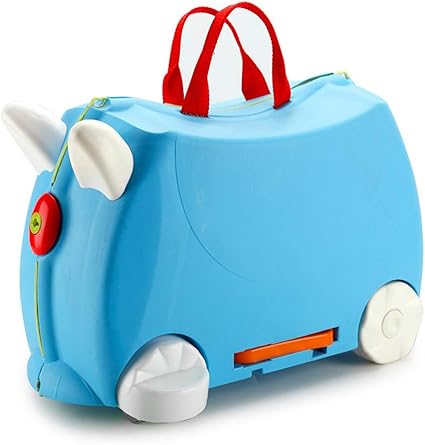 riding luggage price