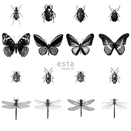 Carta Da Parati Xxl Disegno A Penna Di Insetti Bianco E Nero