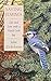 Saving Jemima: Life and Love with a Hard-Luck Jay by Julie Zickefoose
