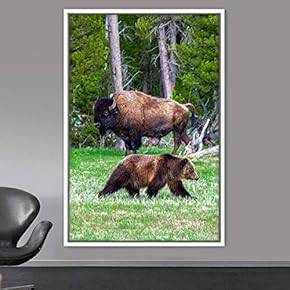 signwin Framed Canvas Wall Art Bear Animals Bear...