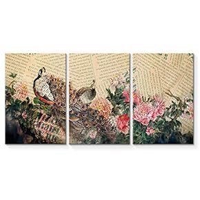 Canvas Wall Art Abstract Vintage Peacock...