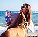 Kodi Lifestyle Collection 30 Ounce Large|Paw Love Dog and Cat Stainless Steel Travel Tumbler|Hot and Cold|Temperature Retention|Ombre Dipped Pink and Purple|Teal Lid for Straw|Dog Cat Mom Lover Rescue