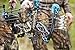 DIAMOND ARCHERY Carbon Knockout Compound Bow - 3.2 LBS, 30