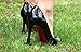 Heels Above High Heel Protector 2 Pairs- Includes 2 Sizes - Clear
