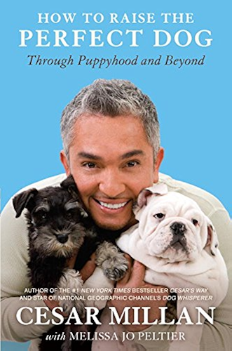 Download How to Raise the Perfect Dog: Through Puppyhood and Beyond (English Edition) PDF