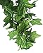 Botius 40 Ft Realistic Artificial Ivy Garland - UV Resistant Fake Hanging Vines for Indoor/Outdoor Wedding, Wall, Party, Garden Decor - Pack of 5