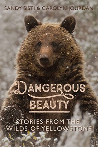 Dangerous Beauty Online Subtitrat Dangerous Beauty Online Subtitrat