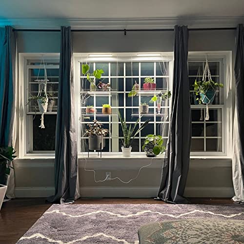 Acrylic Plant Wall Shelf Hanging Window Shelves for Plants Mount Stand