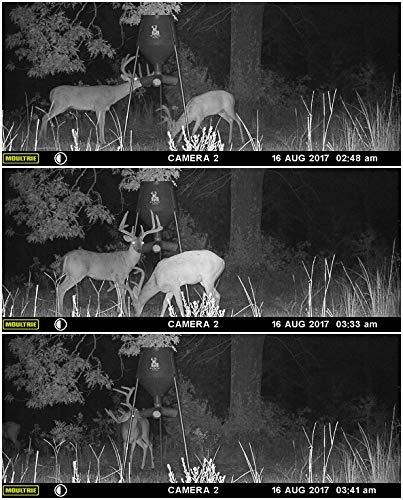 Boss Buck All In Series Protein Deer Feeders Buy Online See