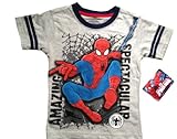 SPIDERMAN - Amazing Spectacular - Adorable Grey Soccer Style Toddler T-shirt - size 6T