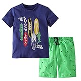 Fiream Boys Cotton Skate Printing Clothing Sets Summer Shortsleeve t-Shirts and Shorts 2 Pieces Clothing Sets(18038,2-3YRS)
