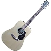 Martin D X2E Brazilian Acoustic Electronic Guitar