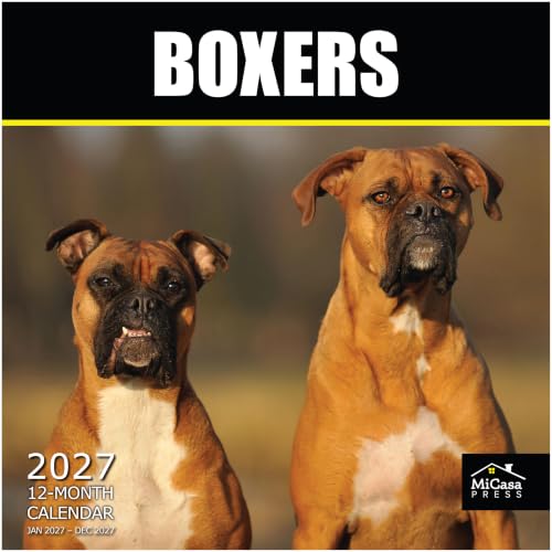 Micasa Boxers 2027 Wall Calendar