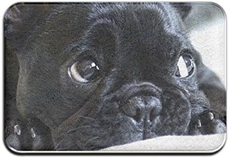 YOCHOPRO Black French Bulldog Non-Slip Absorbent Memory Foam Bath Mat Indoor/Outdoor Doormat