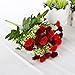 SOLEDI 1 Bunch 25-stem Artificial Flower Dianthus Caryophyllus Carnation Fake Silk Flower Plastic Flower Arrangement Wedding Party Home Garden Decor Room Decoration New