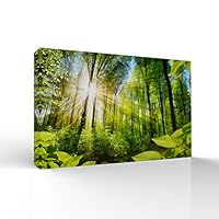 signwin-Canvas Wall Art-Sunshine in The Forest -Canvas Prints Home Artwork Decoration for Living Room,Bedroom - 12x18 inches