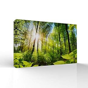 Canvas Wall Art-Sunshine in The Forest -Canvas Prints Home Artwork Decoration for Living Room,Bedroom - 12x18 inches