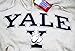 Yale Shirt Hoodie Sweatshirt University T-Shirt Bulldogs Pennant Hat Apparel Large Gray