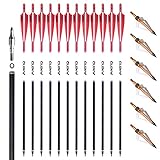SXSZY Crossbow Bolts 20 Inch, Carbon for Hunting