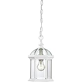 NUVO Lighting 60/4977 Boxwood Hanging Lantern with Clear Beveled Glass, White