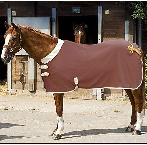 GCSEY Protective Blanket for Horses, Headless Weatherproof Horse Hood, Double-layer Composite Fleece Horse Blanket, Rainproof, Breathable and Comfortable Rug