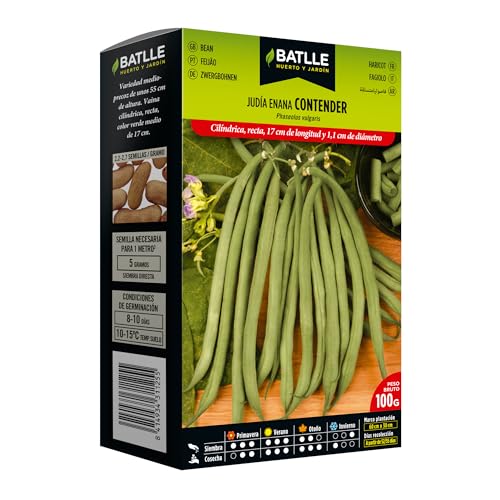 Batlle Gemuesesamen - Zwergbohne Contender (100g)