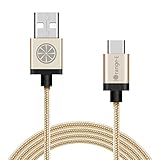 iOrange-E Braided USB C Charger Cable with Aluminum Connector, 10 Feet(3M) -  Gold