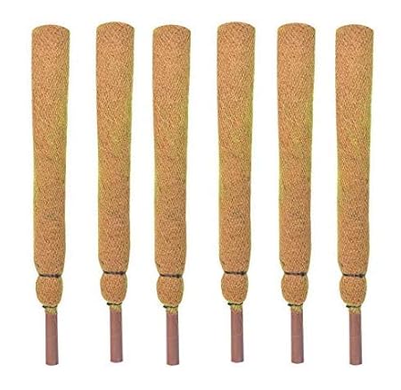 COIR GARDEN Coir Moss Stick/Coco Pole for Climbing Money Plants, Indoor and Outdoor Plants, 1.5 ft, 45 cm - Set of 6