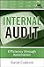 Internal Audit: Efficiency Through Automation (IIA (Institute of Internal Auditors) Series Book 10) by David Coderre