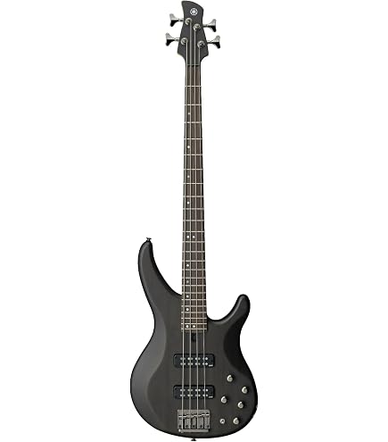 Amazon.com: Ibanez SR500E Bass Guitar - Black Aurora Burst