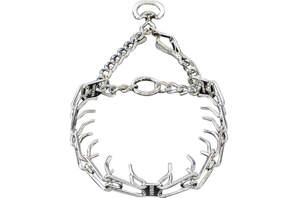 spike training collar