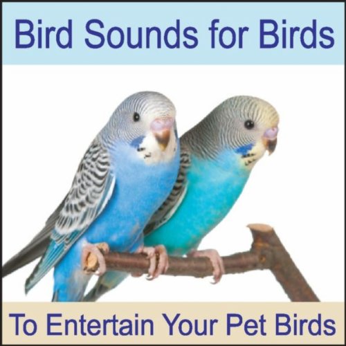 Bird Sounds for Birds To Entertain Your Pet Bird, Parrots, Cockatiels
