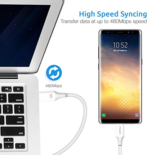 USB C to USB C Cable, Pisen 3.3ft Type C to Type C 3A Fast Charging and Syncing Cable for Samsung Galaxy S9 S8, ChromeBook Pixel, Apple Macbook Pro, Nintendo Switch and More