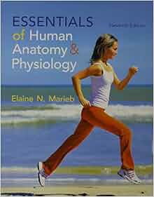 Amazon Com Essentials Of Human Anatomy Amp Physiology