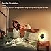 Sunrise Alarm Clock Wake Up Light FM Radio Clock Night Light for Heavy Sleepers & Kids - 7 Adjustable Colors - Sunrise and Sunset Simulation with Touch Control