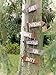 Talking Tables Blossom & Brogues Wedding Venue Signs for a Wedding Reception, Multicolor (6 Pack)