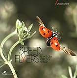 Image de Speed flyers : Le vol des insectes révélé