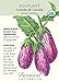 Eggplant Listada de Gandia Organic HEIRLOOM Seeds