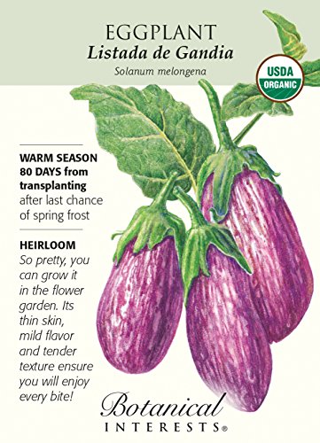 Eggplant Listada de Gandia Organic HEIRLOOM Seeds