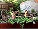PRETMANNS Fairy Garden Fairies – Accessories & Miniature Garden Furniture - Fairy Garden Supplies - 7 Pieces