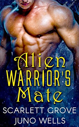 Alien Warrior's Mate: Draconians (Dragon Shifter Scifi BBW BWWM Romance)
